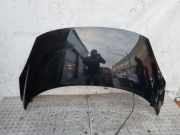 Motorhaube RENAULT SCÉNIC III (JZ0/1_) 1.5 dCi
