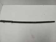 Zier-/Schutzleiste für Türscheibe Lancia Phedra (179)