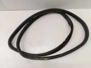 Türgummi links vorne Jaguar F-Pace (X761)