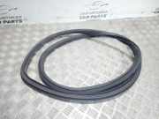 Dichtungsgummi der hinteren Tür (an der Karosserie) OPEL INSIGNIA A Sedan (G09) 1.8 (69)