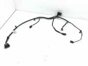 Kabelbaum Hyundai Ioniq (AE) 91841