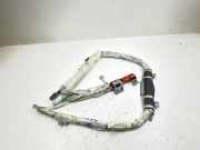 Airbag Dach links Nissan X-Trail II (T31) 6075828