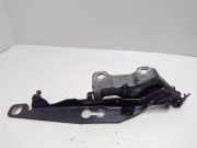 Motorhaubenscharnier links Volvo S80 II (124) 31250185