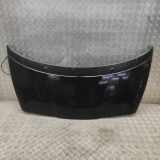 Motorhaube Peugeot 5008 I () 7901R2