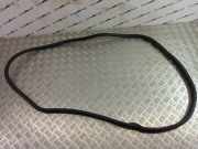 Türdichtung BMW X3 (F25) 1305715