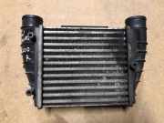 Kühlerluftumlenker SEAT EXEO (3R2) 2.0 TDI 8E0145806Q