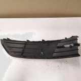 Gitter vorne unten SKODA FABIA III (NJ3) 1.0 6V0807368