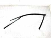 Türdichtungsgummi vorne links BMW 3 (G20, G28) 3 (G20) 330 i
