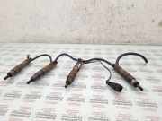 Düsenstöcke Ford Galaxy (CK)