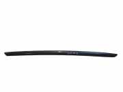 Zierleiste Windschutzscheibe Frontscheibe CITROËN DS5 1.6 HDi 110 9687248080