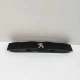 Kennzeichenbeleuchtung Verkleidung PEUGEOT 2008 II e-2008 9828080080 9828080180