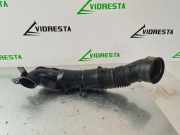 Entlüftungsschlauch PEUGEOT 208 II (UB_, UP_, UW_, UJ_) 1.2 PureTech 100 9833016780