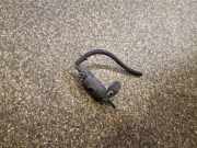 Wischwassertankmotor NISSAN PRIMERA Estate (WP12) 1.8