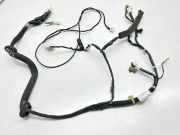 Kabelbaum NISSAN NV200 Furgon/Estate 1.6 16V (M20, M20M) MARCCS 24051BJ00E