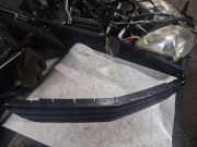 Gitter Grill vorne links MERCEDES-BENZ R (W251, V251) R 350 4-matic (251.065, 251.165)