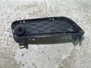 Gitter vorne unten BMW X3 (F25) xDrive 20 d 7249595