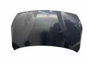 Motorhaube BMW 2er Active Tourer (F45)