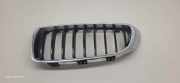 Vorderer oberer Gitter BMW 4 Coupe (F32, F82) 428 i xDrive 7294813