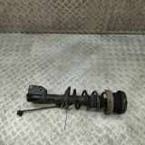 Stoßdämpfersatz Vorderachse Fiat Talento Kasten (296) 543023941R