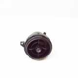 Frischluftgrill MINI COUNTRYMAN (R60) Cooper S0481138A 121090210