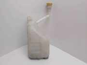 Behälter Scheibenwaschanlage Renault Megane III CC (EZ) 289100033R