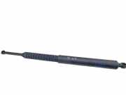 Heckklappendämpfer links BMW 5er Touring (F11) 0310041270N