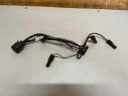 Kabelbaum BMW 1er (F21) 758061206