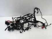 Motor Kabelbaum NISSAN JUKE (F16) 1.0 240116PA0B