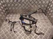 Kabel Tür vorne rechts OPEL VIVARO Furgon 1.6 CDTI 241259197R 93460095