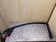 Türpolsterverkleidung vorne rechts AUDI Q7 (4L) 3.0 TDI quattro 4L0867610