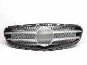 Vorderer oberer Gitter MERCEDES-BENZ E (W212) E 220 CDI / BlueTEC (212.001, 212.002) A2128851400