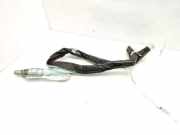 Dach SRS rechts RENAULT LAGUNA III (BT0/1) 2.0 dCi (BT08, BT0K, BT0J, BT14, BT1A, BT1D) 985P00001RD 606309600H