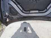 Motorhaube BMW 7 (G11, G12) 750 d, Ld xDrive