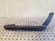 Türverkleidung vorne links