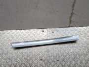 Kotflügelzierleiste hinten rechts