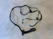 Türverkabelung hinten links BMW X1 (F48) xDrive 20 d 61129384585