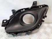 Nebelscheinwerferverkleidung