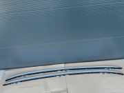 Dachreling links BMW X5 (G05, F95) 7417886