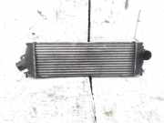 Ladeluftkühler RENAULT TRAFIC II Furgon (FL) 2.0 dCi 115 (FL01, FL0U) 8200411160C
