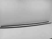 Dachleiste links FORD S-MAX (WA6) 2.0 TDCi 6M21R504A00BB