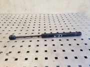 Gasfeder für Motorhaube Audi A6 (4G, C7) 4G8823359A