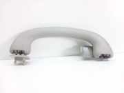 Griff Panoramadach Ford Focus Turnier (DNW)