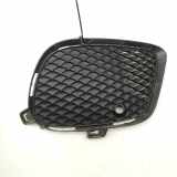 Gitter Grill vorne rechts MERCEDES-BENZ GLE (W166) 250 d 4-matic (166.004) A2928855422