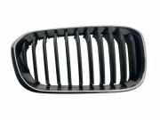 Gitter Grill vorne rechts BMW 1 (F21) 116 d 7371748