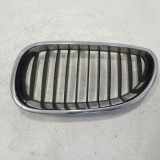 Vorderer oberer Gitter BMW 5 (E60) 520 d 51137065701