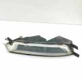 Nebelscheinwerfer links vorne VW Passat B8 Variant (3G) 3G0941661E