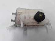 Ausgleichsbehälter RENAULT MEGANE III Hatchback (BZ0_) 1.5 dCi (KZ09, KZ0D, KZ1G, KZ1M, KZ1W) 217100005R