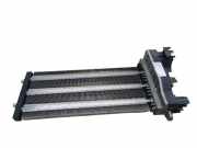 Kühler Jaguar XF (X250) 0171132202
