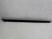 Zierleiste Windschutzscheibe Frontscheibe PEUGEOT 2008 II e-2008 9810112080