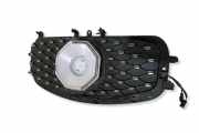 Vorderer oberer Gitter MG ZS SUV EV ZS11EEU